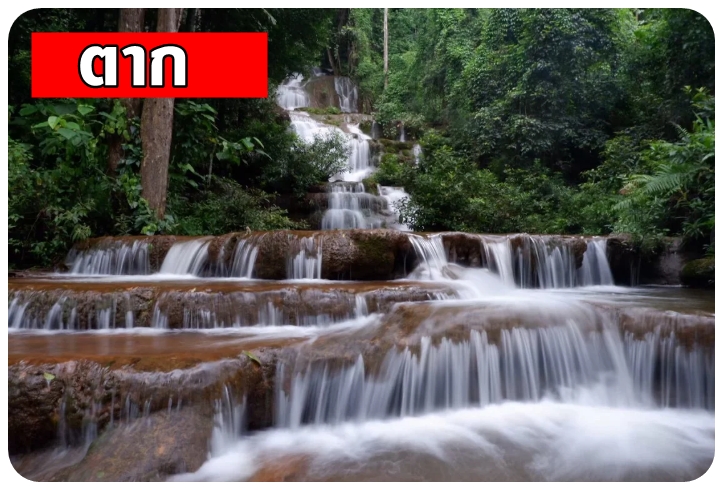 เหมารถพร้อมคนขับตาก