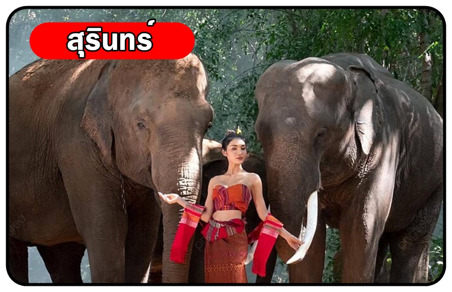 เหมารถพร้อมคนขับสุรินทร์